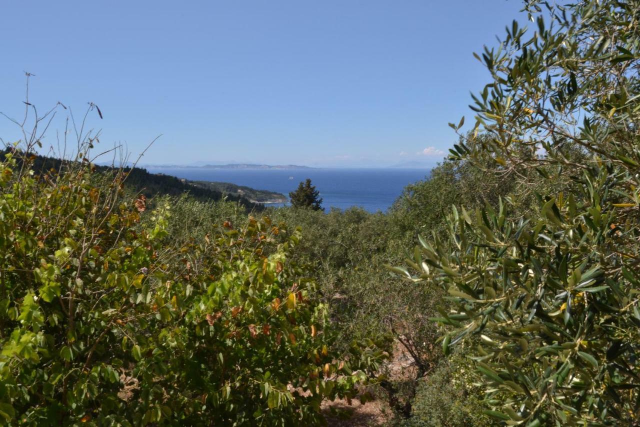 Villa Elaia Suites & Apartments No.1 Gaios Eksteriør billede
